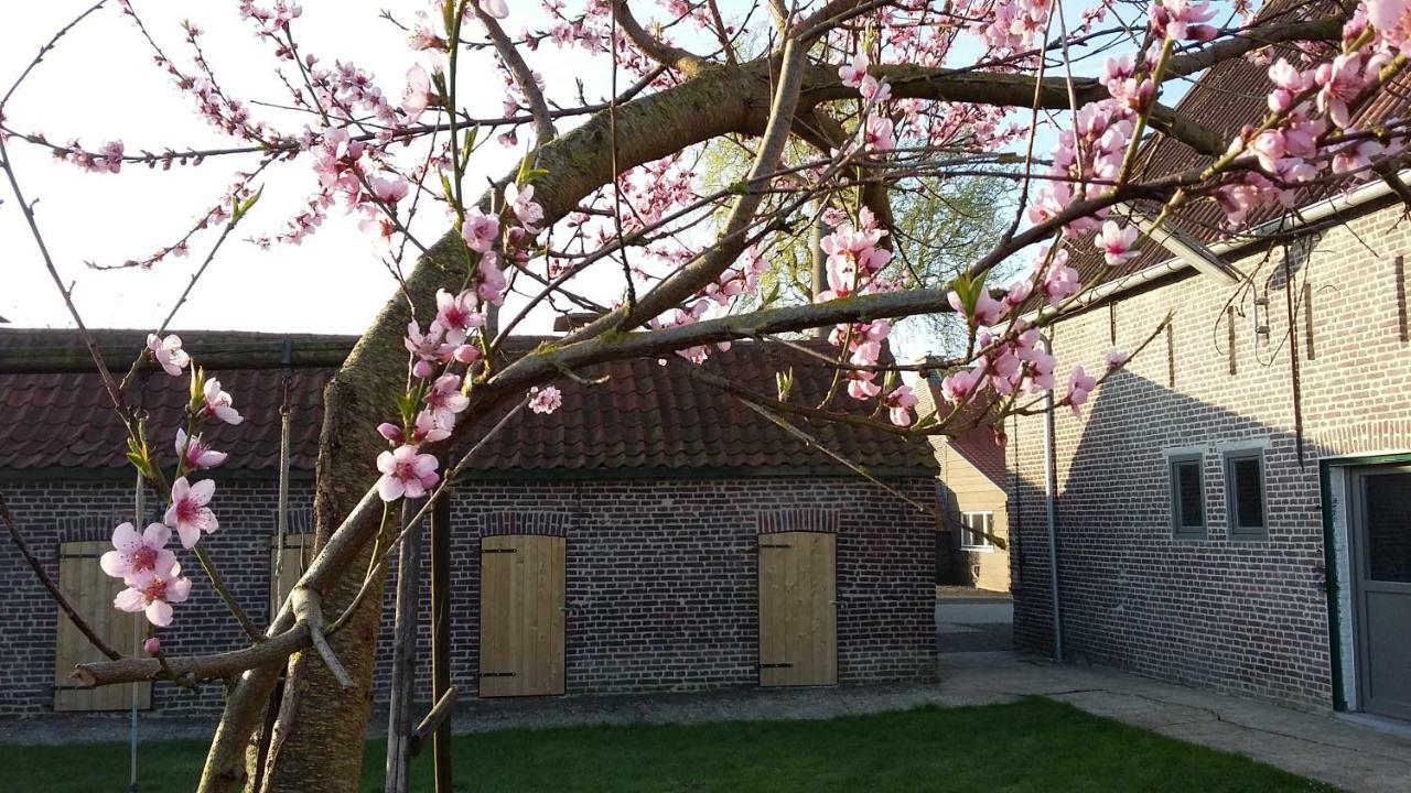 De Molenkreek Villa Sint-Margriete Exterior foto